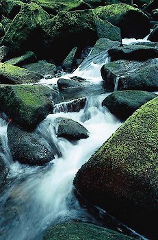 Wandertipp: Grenzgebiet Philippsreut/Böhmen